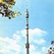 Камиль Миразимов on My World.