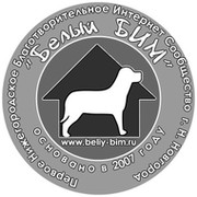 "Белый БИМ" -  Помощь Бездомным животным в Н.Новгород группа в Моем Мире.