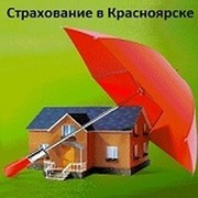 Smartterminal- страхование (Красноярск): ОСАГО, КАСКО, Антиклещ* группа в Моем Мире.