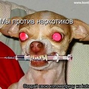 МЫ ПРОТИВ НАРКОТЫ группа в Моем Мире.
