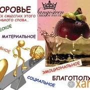 XANGO-КАЧКАНАР Людмила 89226099405 galla-club.ru группа в Моем Мире.