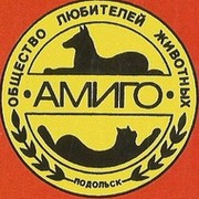 Амиго подольск