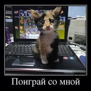 ТимOFFей Гороховский on My World.