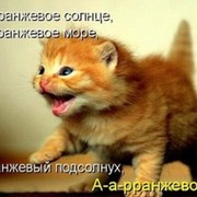 Котечег :p ака ВТычинк on My World.