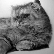 КОМПУЧИЙСКИЙ АСТРОНАВТ on My World.