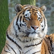 Андрей Николаевич on My World.