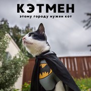 КЭТМЕН .. on My World.