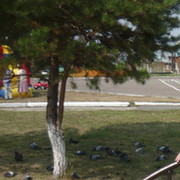 Игорь Чиннов on My World.