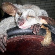 Наиль Галяутдинов on My World.