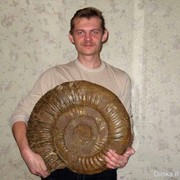 Дмитрий Буев on My World.
