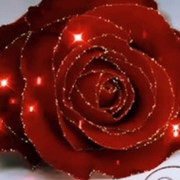 ЕКАТЕРИНА ДОНСКИХ on My World.