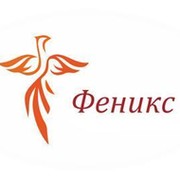 Картинка студии феникс
