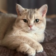 Алина Ледовских в Моем Мире.