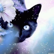 Саша Рябинина on My World.