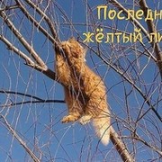 Николай Кудрявцев...КЛ on My World.