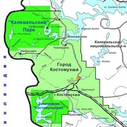 Карта костомукши со спутника