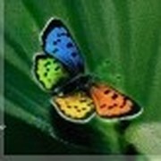Максим Кириллов on My World.