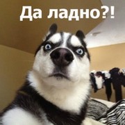 МАКСИМ ПУСТОТИН on My World.