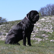 max max on My World.