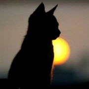 Майя *********** on My World.