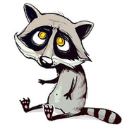 Raccoon Raccoon on My World.