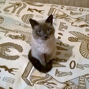 Нина Пинкина on My World.
