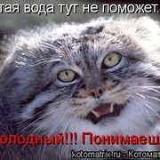 Вадим _ on My World.