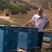 rasim selimov on My World.