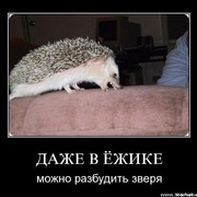 Сергей М on My World.
