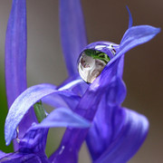 Lilu *** on My World.