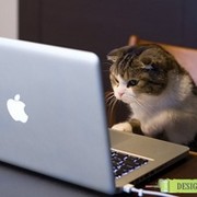 Aнатолий Слипченко on My World.