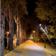 Мижгона Тошева on My World.