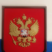 Александр Воронин on My World.